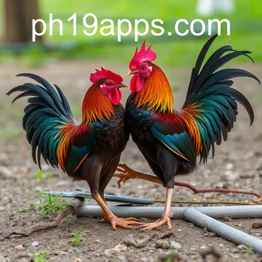 Exploring the Fascinating World of Sabong Games with PH19 com